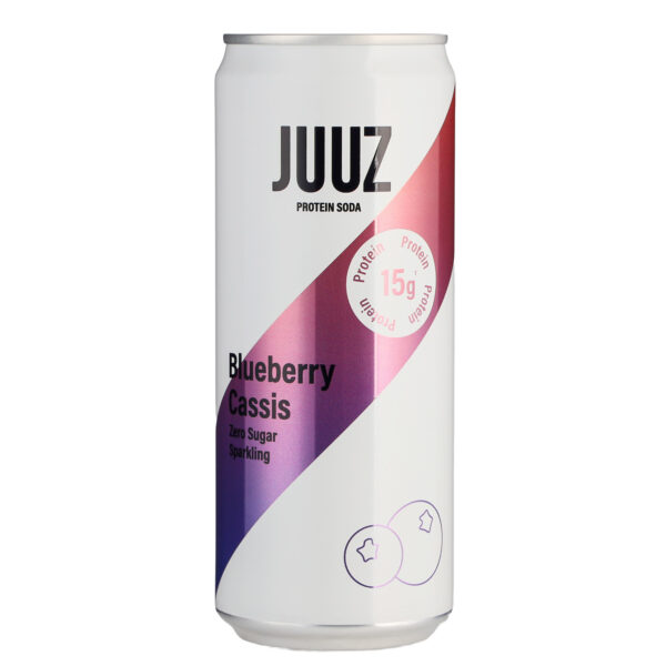 Juuz Protein soda Borovnica + Crna ribizla